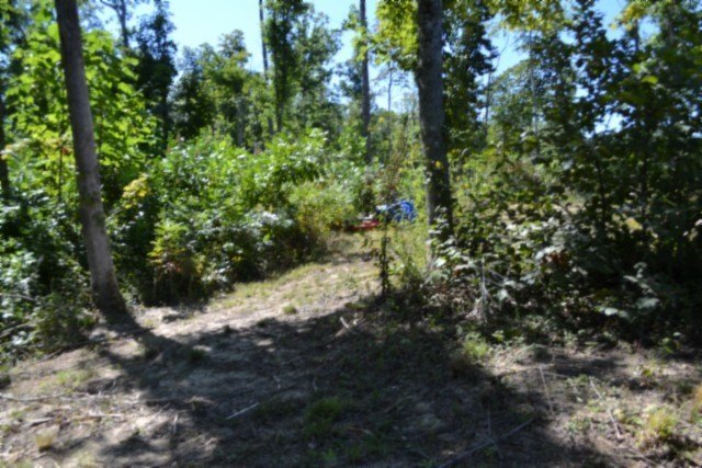 Picture 16