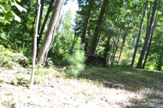 Picture 29