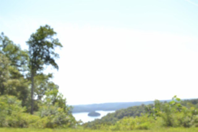 Picture 47
