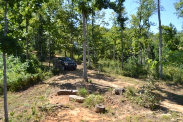 Picture 9