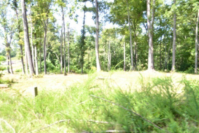 Picture 42