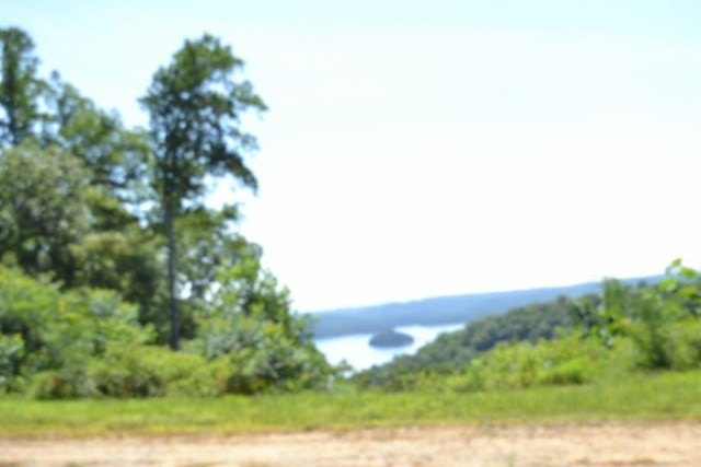 Picture 46