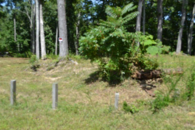 Picture 41