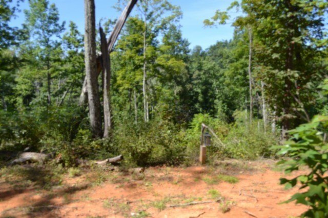 Picture 25