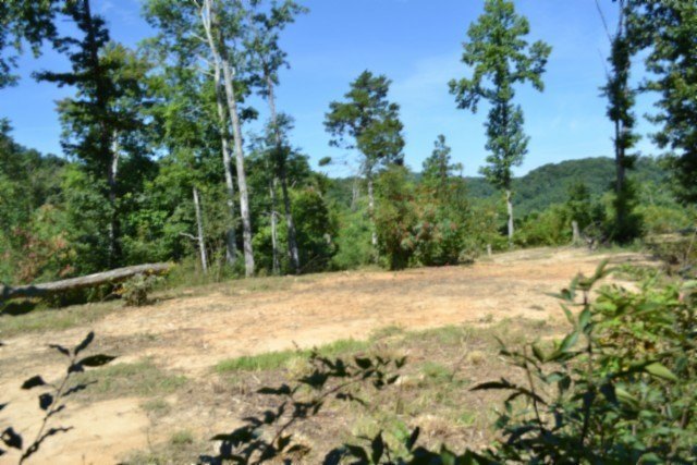 Picture 7