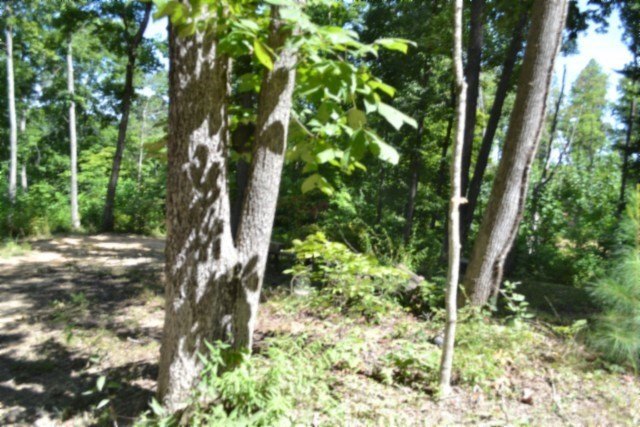 Picture 30