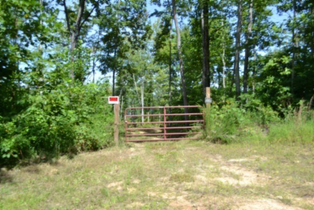 Picture 34