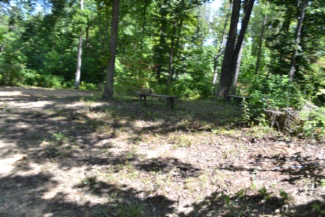 Picture 37
