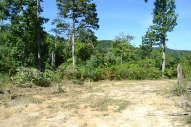 Picture 13