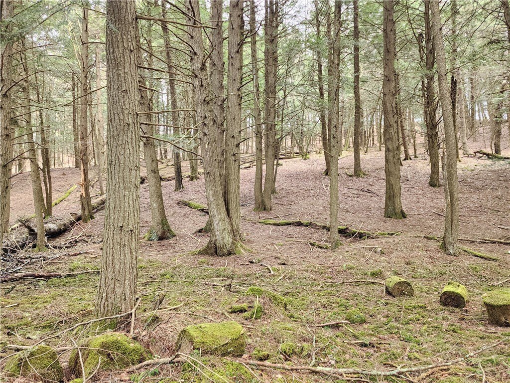 Picture 28