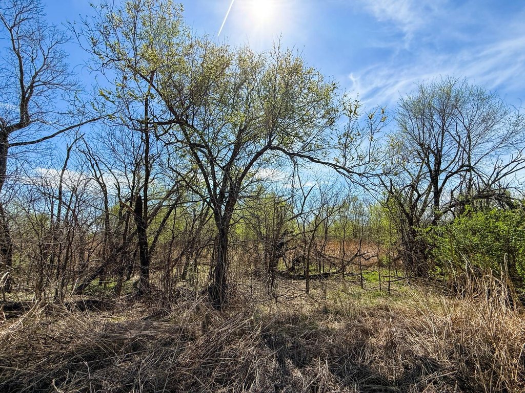 Picture 21