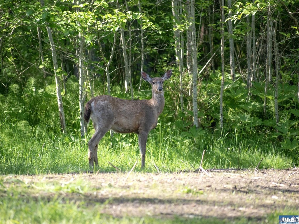 Picture 35