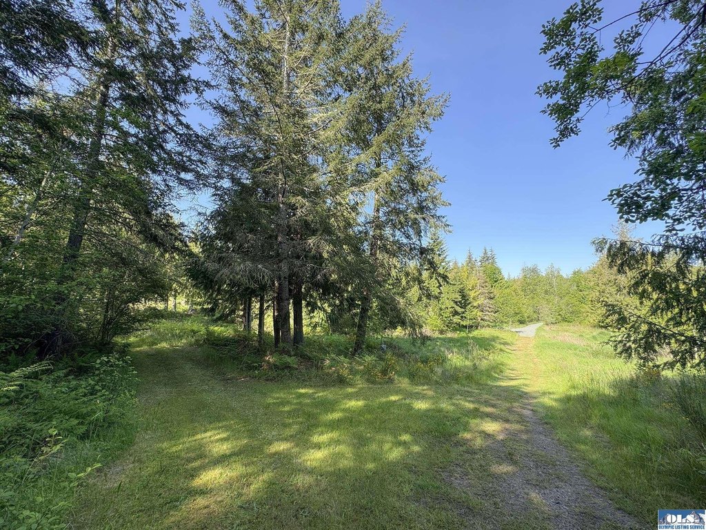 Picture 25
