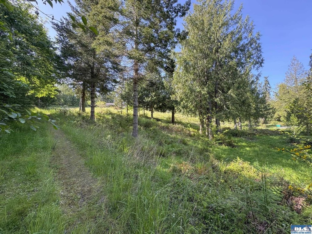 Picture 26
