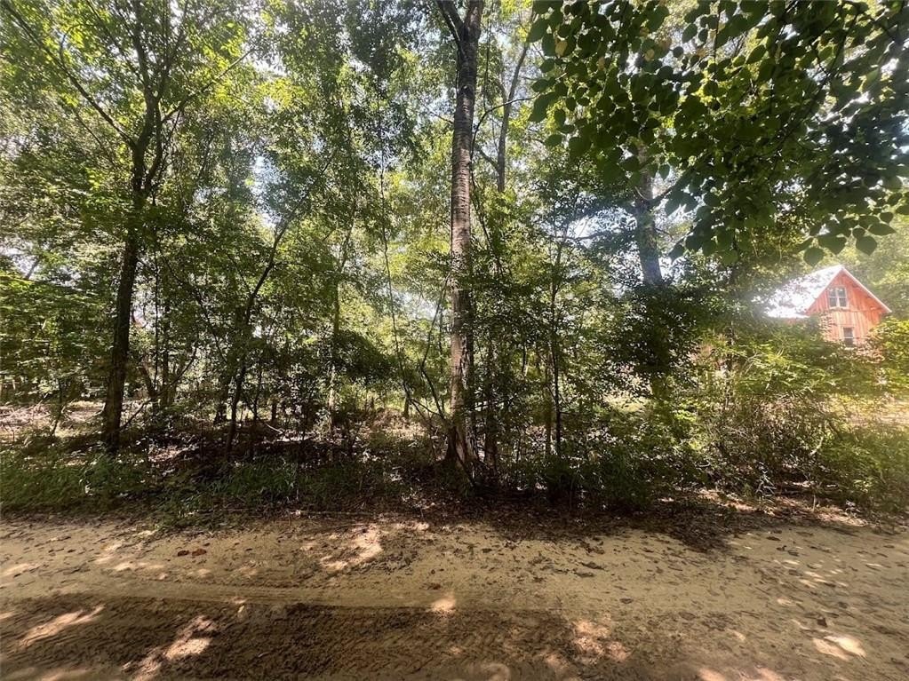 Land on Altamaha River