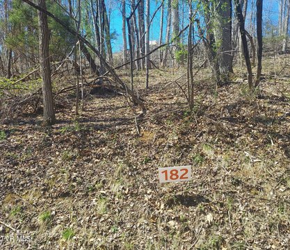 Residential Land in Unicoi, TN