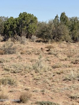 5-Acre Parcel in Snowflake, AZ