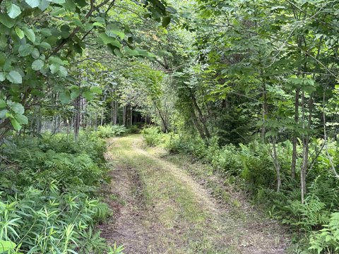 LAND - Wolcott, VT