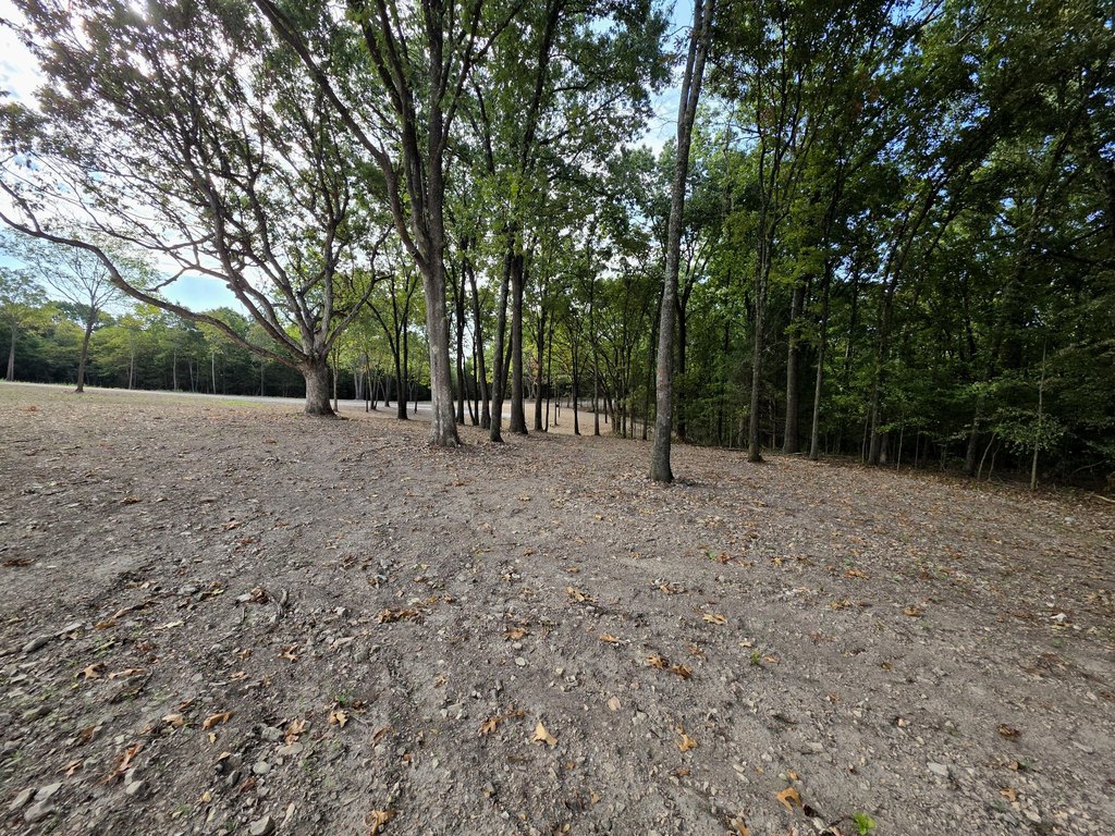 Picture 12