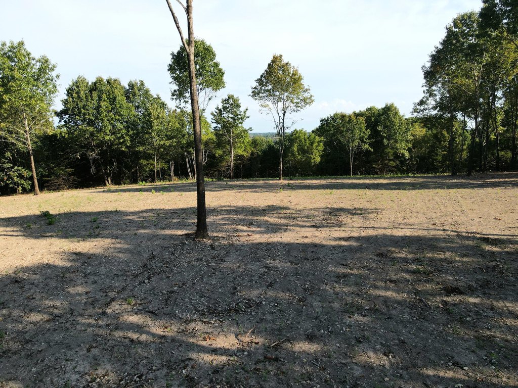 Picture 16