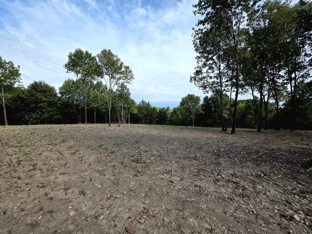 Picture 11