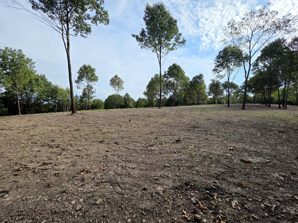 Picture 14