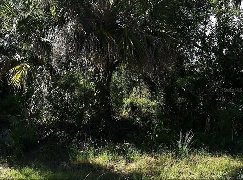 Land, NORTH PORT, FL