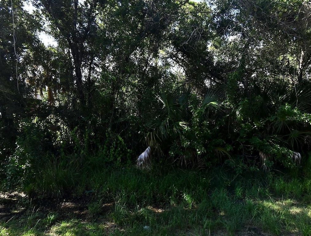 Picture 5