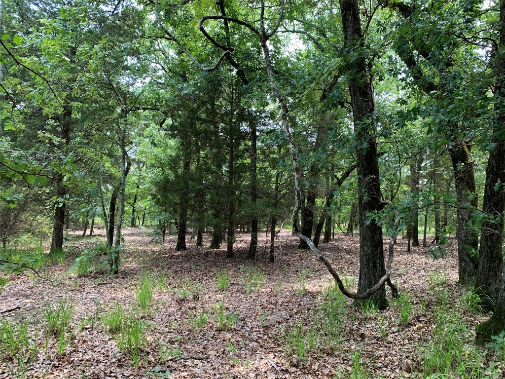 Picture 15