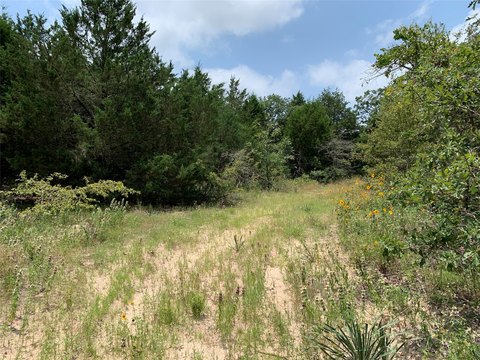 Wooded Country Estate Land