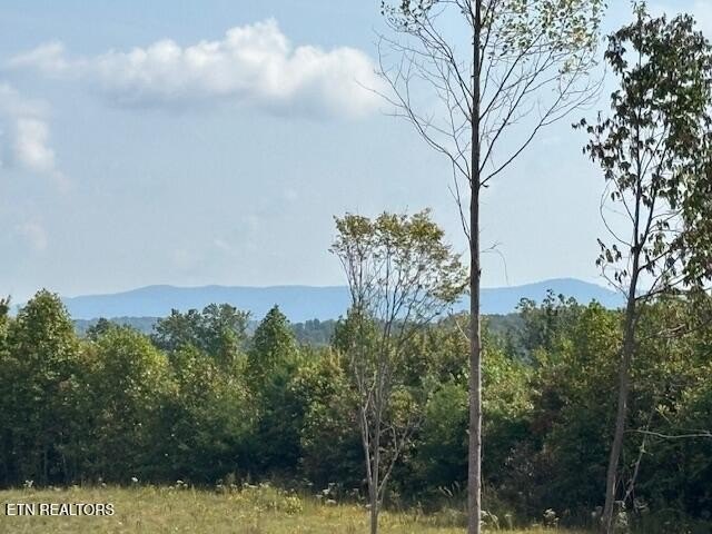 Pikeville, TN Land For Sale