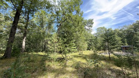 Land, Manistee, MI