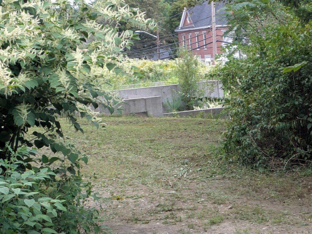 Picture 3