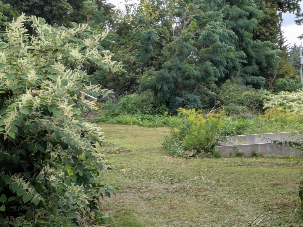 Picture 2