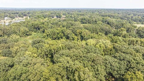 Residential Land in Fayette County
