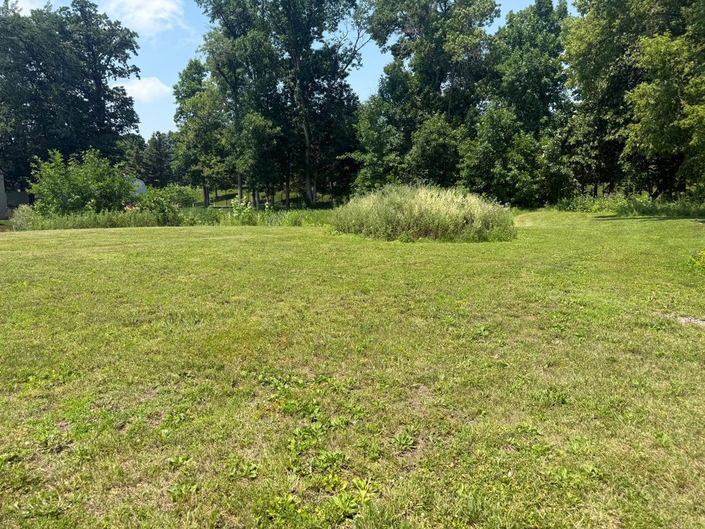 Picture 4