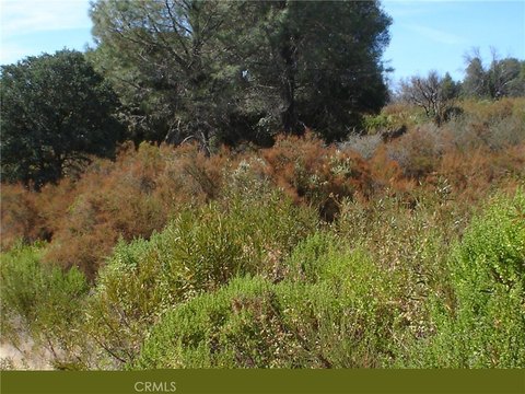 Residential Land in Clearlake, CA