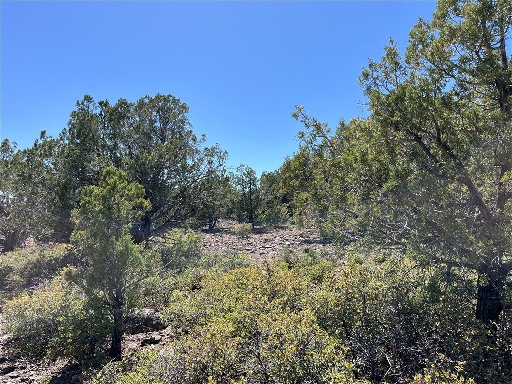 Kingman Land with Juniper & Pinion