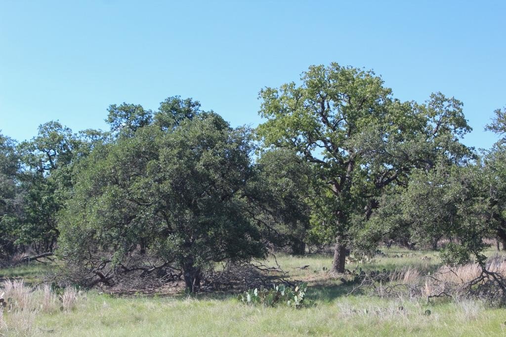 Harper, TX Land For Sale