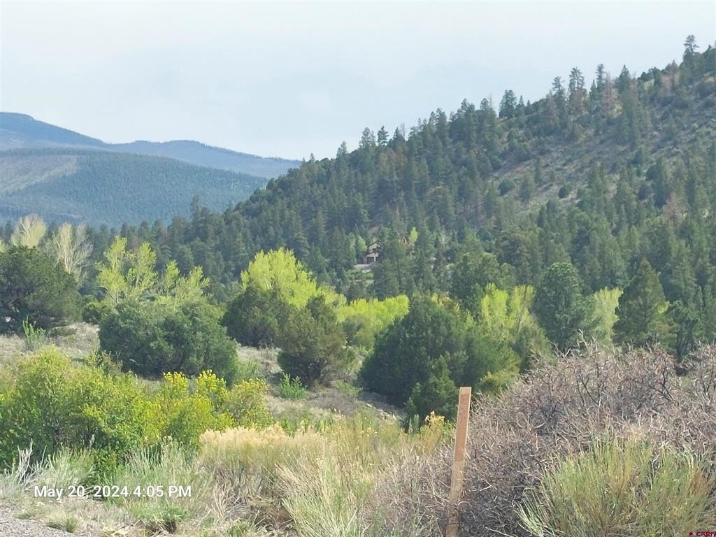 Land in South Fork, Colorado