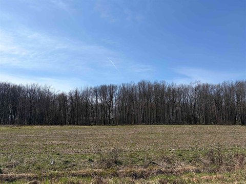 Marshfield Buildable Residential Land