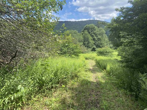 Slaty Fork Land Near Snowshoe