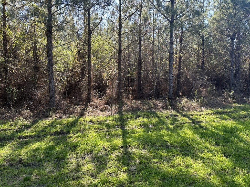 Picture 26