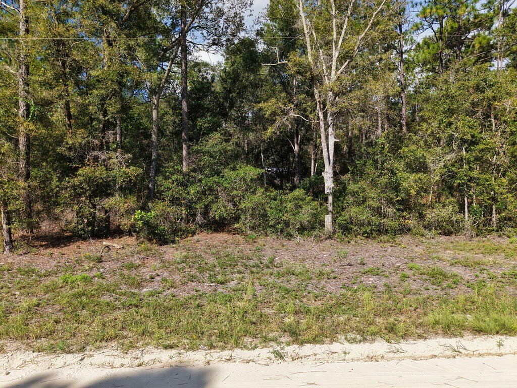 Picture 6