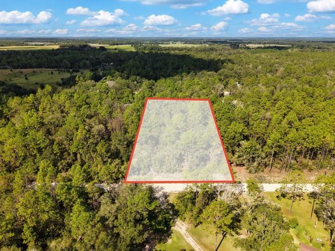 Land, Bell, FL