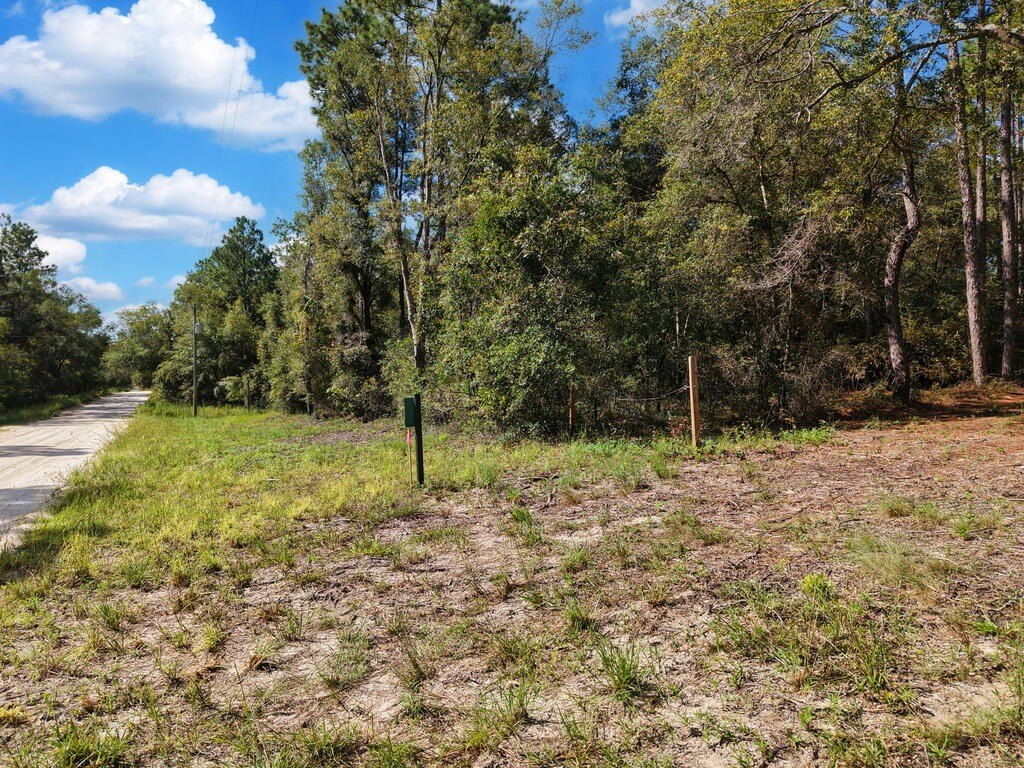 Picture 9