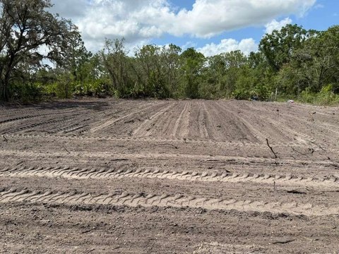 Prime Avon Park Development Opportunity