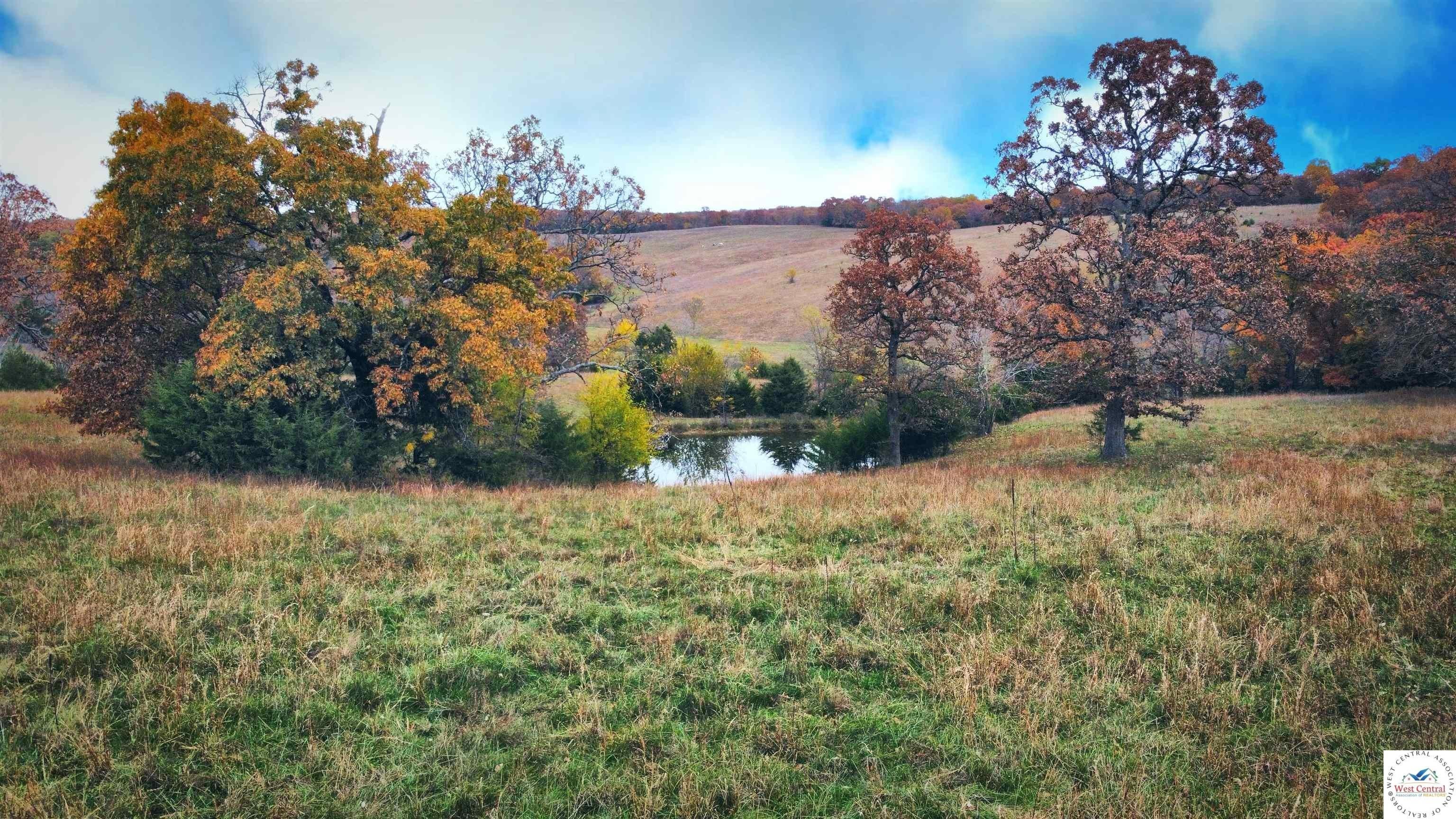 Land Near Truman and Ozark