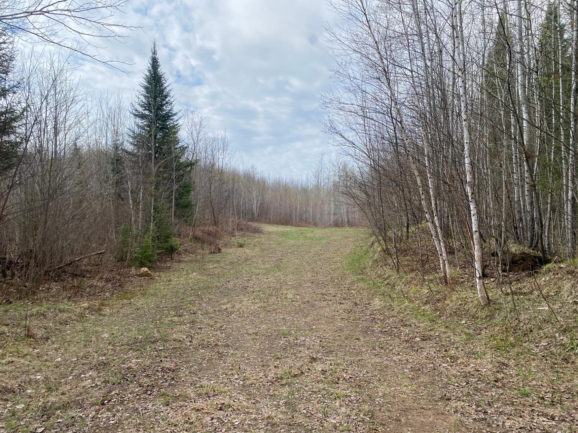 40 Acres in Price County