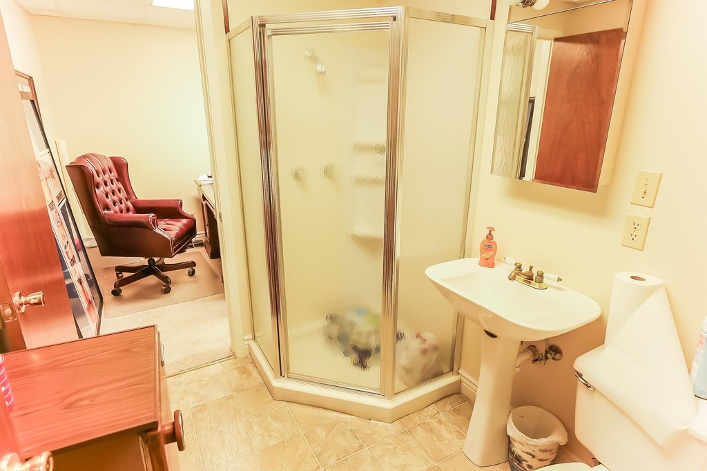 Picture 6
